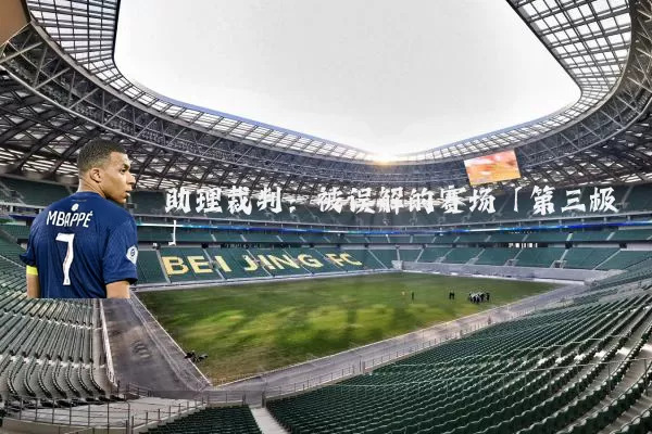 助理裁判:被误解的赛场「第三极」